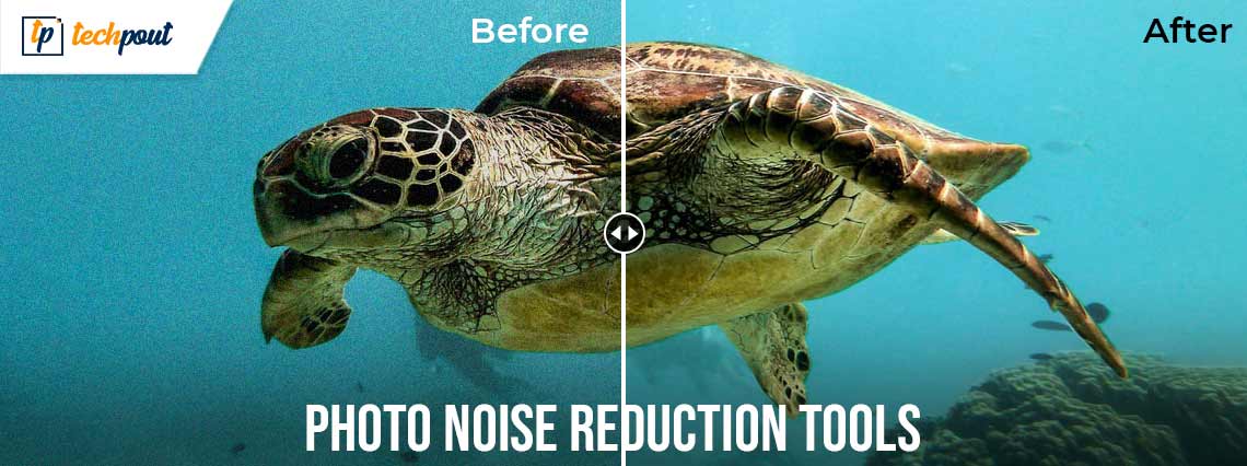Best Free Photo Noise Reduction Tools and Websites in 2024 Best Free Photo Noise Reduction Tools and Websites in 2024