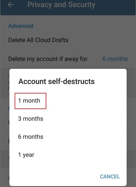Delete Your Telegram Account Using self-destruction Feature Step - 3