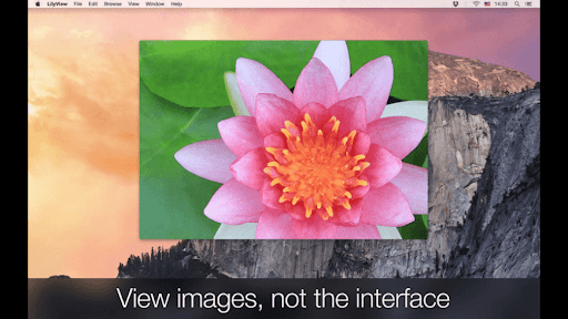LilyView-Minimalistic Photo Viewer for Mac LilyView-Minimalistic Photo Viewer for Mac