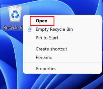 Open Recycle Bin