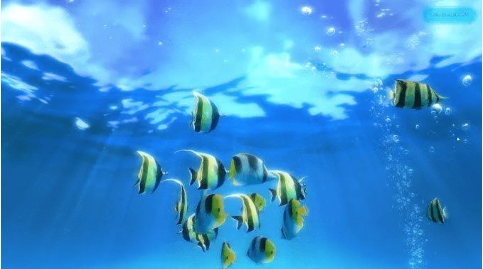 Sim Aquarium 3 Sim Aquarium 3 - Best Free Live Wallpaper